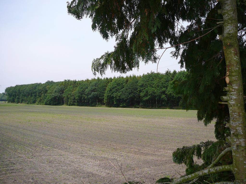 Villa Zonneraai Nieuweroord Exterior foto